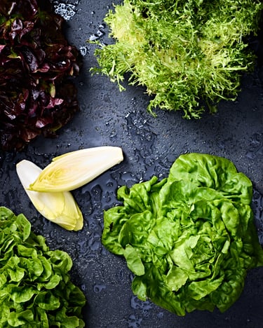 Compilationfoto von acht verschiedenen Salatarten nebeneinander als Topshot von oben mit dunklem Untergrund