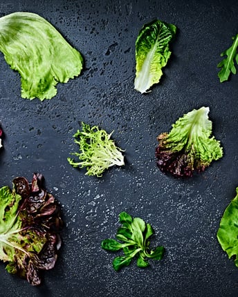 Compilationfoto von einzelnen Salatblättern als Topshot von oben auf einem dunklen Untergrund