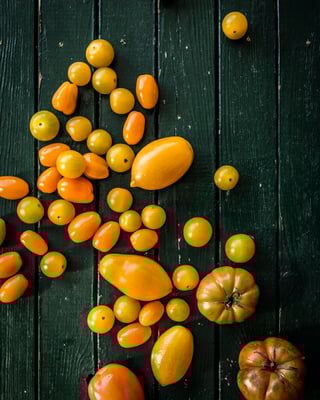 Gelbe große und kleine Tomaten auf Holzuntergrund in dunkelgrün