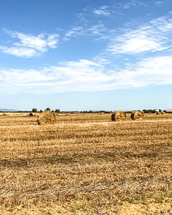 Weidelandschaft mit Heuballen und blauem Himmel