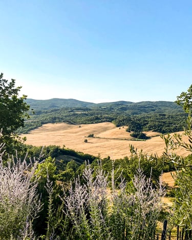 Landschaftsbild der Toskana