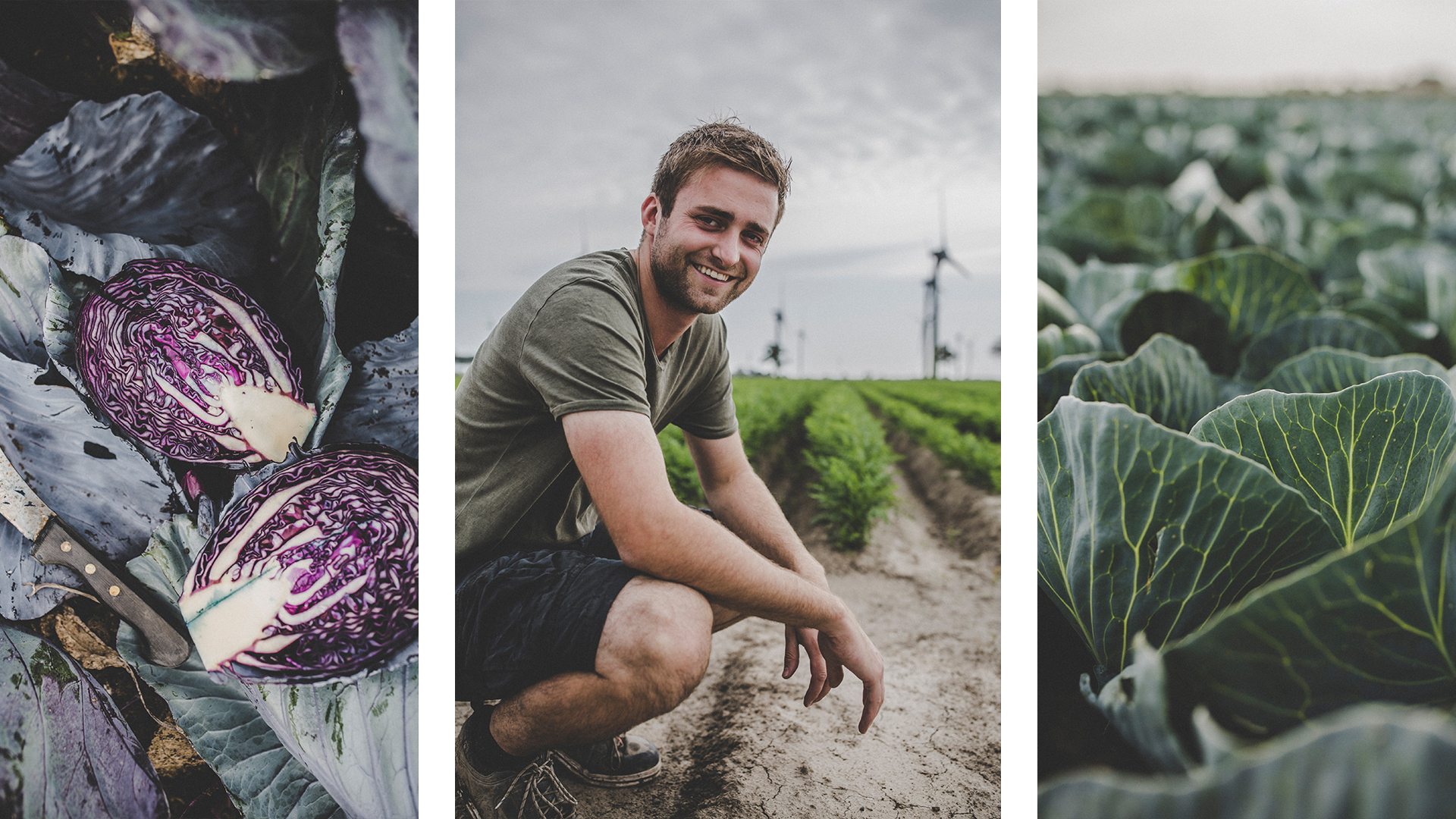 Rotkohl Mit Hauke