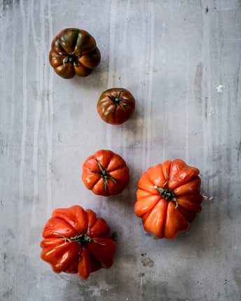 Mehrere Ochsenherztomaten in verschiedenen Farben auf grauem Untergrund