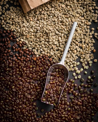 Ungeröstete (grüne) Kaffeebohnen, die gerösteten (dunkelbraunen) Kaffeebohnen der Sorte Arabica in Nahaufnahme von oben gegenübergestellt sind