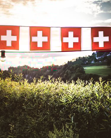 Schweizer Aop Kaese Schweizer Flagge