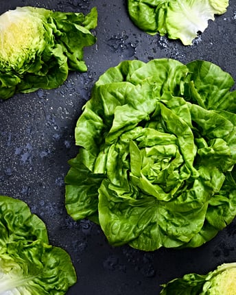 Ein ganzer Kopf von Kopfsalat neben einem halbierten Kopf und einzelnen losen Kopfsalatblättern nebeneinander auf dunklem Untergrund