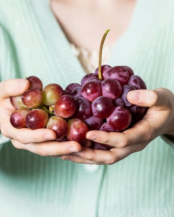 Rote Weintrauben in Händen