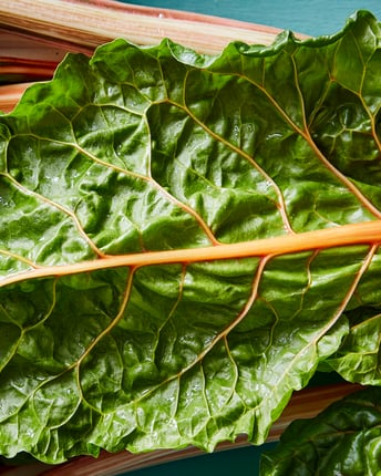 Grünes Mangold-Blatt sehr nahe fotografiert