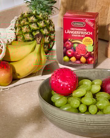 Das Wrappy Pod liegt in einer Obstschale. Daneben liegt ein Netz gefüllt mit frischem Obst. Die Verpackung von Wrappy ist im Hintergrund zu sehen.