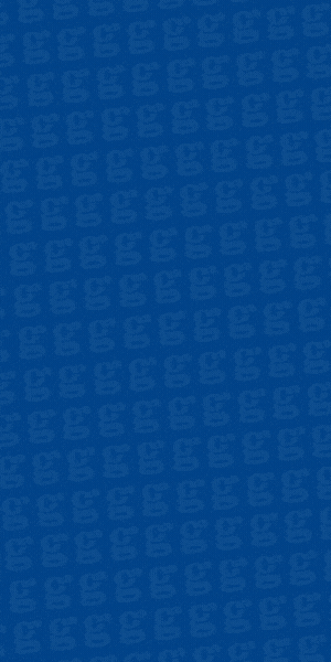 Gorgonzola Banner 300 x 600