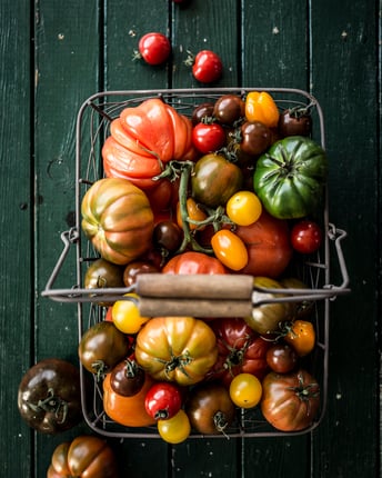 Verschiedene bunte Tomatensorten in einer Kiste