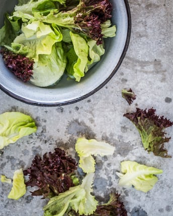 Eine Schüssel mit Wasser zum Waschen von grünem und rotblättrigen Blattsalat, daneben liegen ein paar zerkleinerte, lose Salatblätter