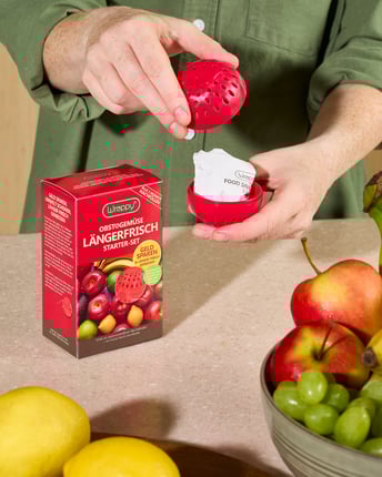 In den geöffneten Wrappy Pod wird das Wrappy Pad hereingelegt. Daneben steht die Wrappy Verpackung. Im Vordergrund liegt frisches Obst in Schalen.