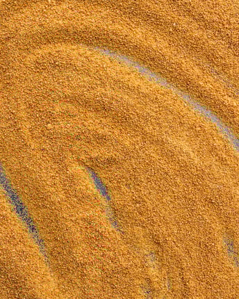 Goldgelber Kokosblütenzucker in Nahaufnahme