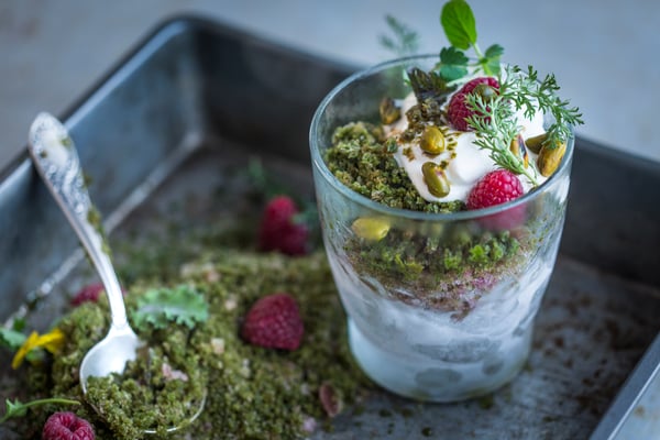 Fruchtiges Granité mit Schwarztee und Wildkräutern