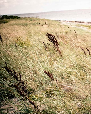 Strand an der dänischen Ostsee
