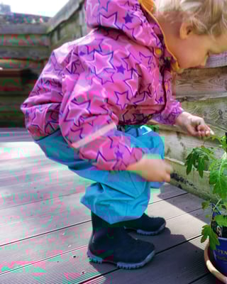 Kind im sonnigen Garten mit zwei jungen Tomatenpflanzen im Topf