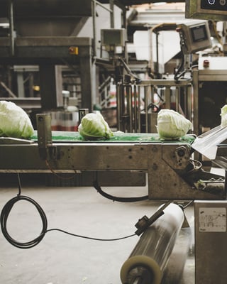 Kohlproduktion