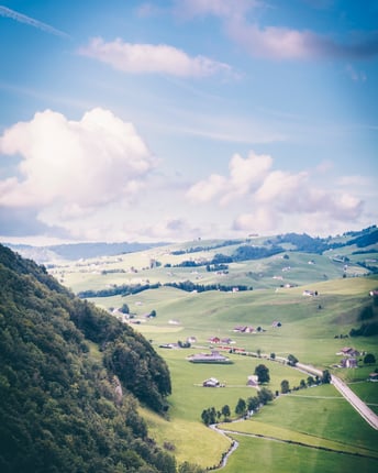 Schweizer Aop Kaese 3 Landschaft 3