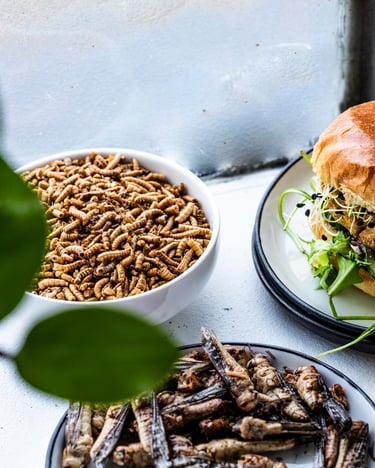 Insekten Snacks