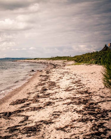 Strand an der dänischen Ostsee