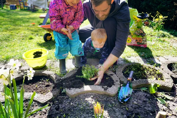 Kraeuter Pflanzen Mit Kids