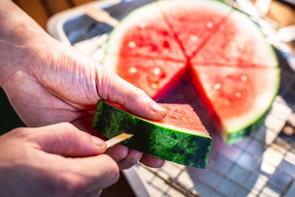Eine Scheibe Wassermelone wird mit einem Eisstiel aufgespießt