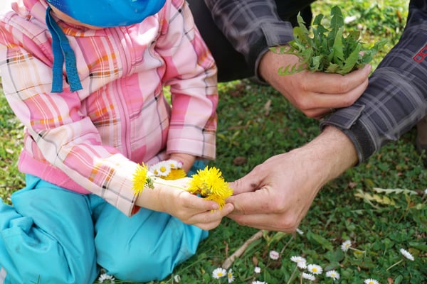 Bunt gekleidetes Kind und Vater pflücken blühenden Löwenzahn auf Wiese